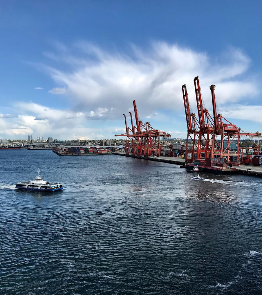 Marine Security Cameras