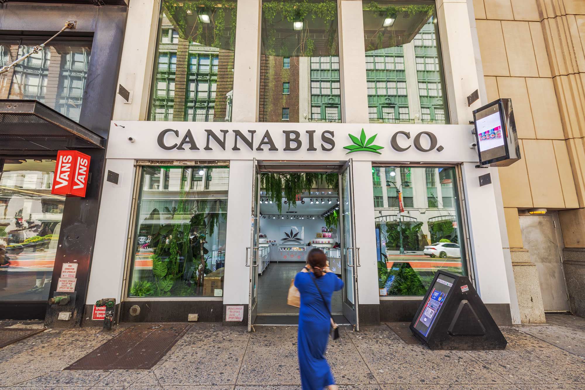 Cannabis Dispensary Security