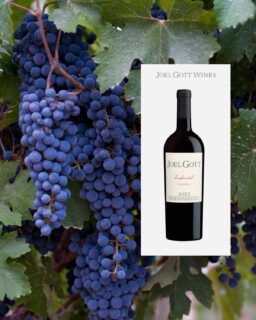 Joel Gott Wines