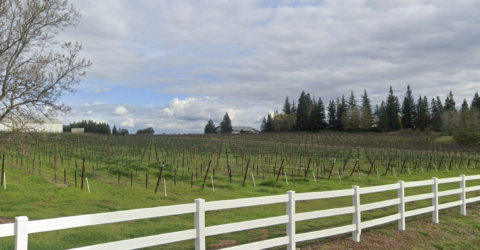 Jatagan protects Joel Gott vineyard in Lodi, CA